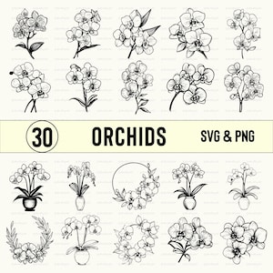 Orchid Clipart: Floral SVG, PNG, Vector Cut Files
