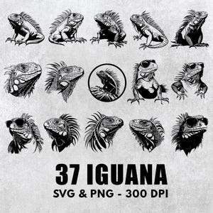 Iguana Silhouette SVG PNG Bundle: Reptile Clipart, Vector Graphics