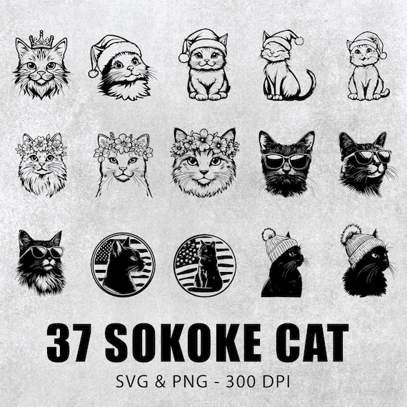 Sokoke Cat SVG PNG Bundle: Vector Clipart Set