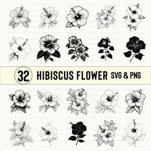 Hibiscus Flower Svg Bundle, Hibiscus Flower Silhouette, Hibiscus Flower Clipart, Hibiscus Flower Vector, Hibiscus Flower Decal Logo Icon Svg