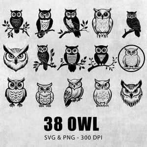 Könnte beinhalten: Ein Set mit 38 Schwarzweiß-Illustrationen von Eulen. Die Eulen sind in verschiedenen Posen und haben unterschiedliche Gesichtsausdrücke. Der Text "38 OWL SVG & PNG - 300 DPI" befindet sich am unteren Rand des Bildes.