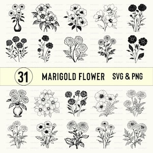 Marigold Flower SVG PNG Bundle: Floral Clipart, Silhouette Vector Art (Digital Download)