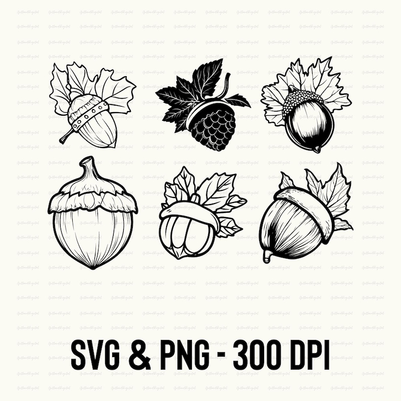 Acorn SVG PNG Bundle: Clipart Silhouette Vector (digital Download) - Etsy