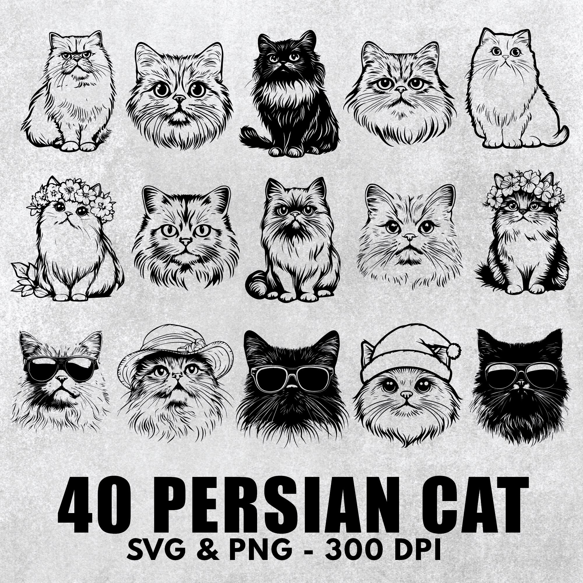 Persian Cat Clipart: SVG, PNG, Vector Outline (300 DPI) - Etsy