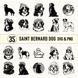 Puede incluir: Un conjunto de 35 archivos SVG y PNG de perros San Bernardo. Las imágenes presentan a los San Bernardo en varias poses, incluyendo sentados, de pie y acostados. Algunas imágenes incluyen accesorios como sombreros y coronas.