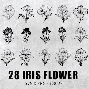May include: A set of 28 black and white iris flower illustrations. The flowers are drawn in a simple, elegant style. The illustrations are perfect for use in crafting, scrapbooking, or digital design.