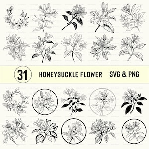 Honeysuckle Flower Svg Png Bundle, Clipart, Honeysuckle Flower Silhouette, Honeysuckle Flowers Vector, Outline, Cut Files, Honeysuckle Decal