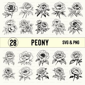 Peony Floral SVG PNG Clipart: Black and White Outline Designs
