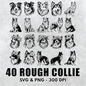 Collie Silhouette Bündel: Vektor Clipart Designs (SVG & PNG)