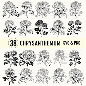 Chrysanthemum Svg Bundle, Chrysanthemum Silhouette, Chrysanthemum Clipart, Chrysanthemum Vector, Chrysanthemum Decal, Chrysanthemum Logo Svg