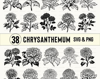 Chrysanthemum SVG Bundle: Floral Clipart, Silhouette Vector (PNG)