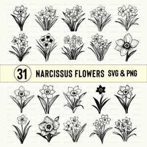 Narcissus Flower Clipart: Floral SVG, PNG, Vectors (Digital Download)