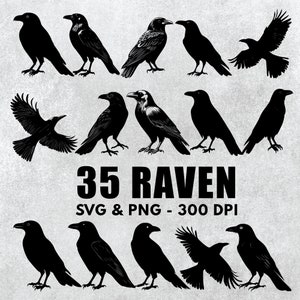 Raven Silhouette Bundle Svg, Raven Svg Vector Set, Raven Clipart Png, Raven Decal Cut File Png, Raven Lover Cricut, Raven Cut File Icon Svg