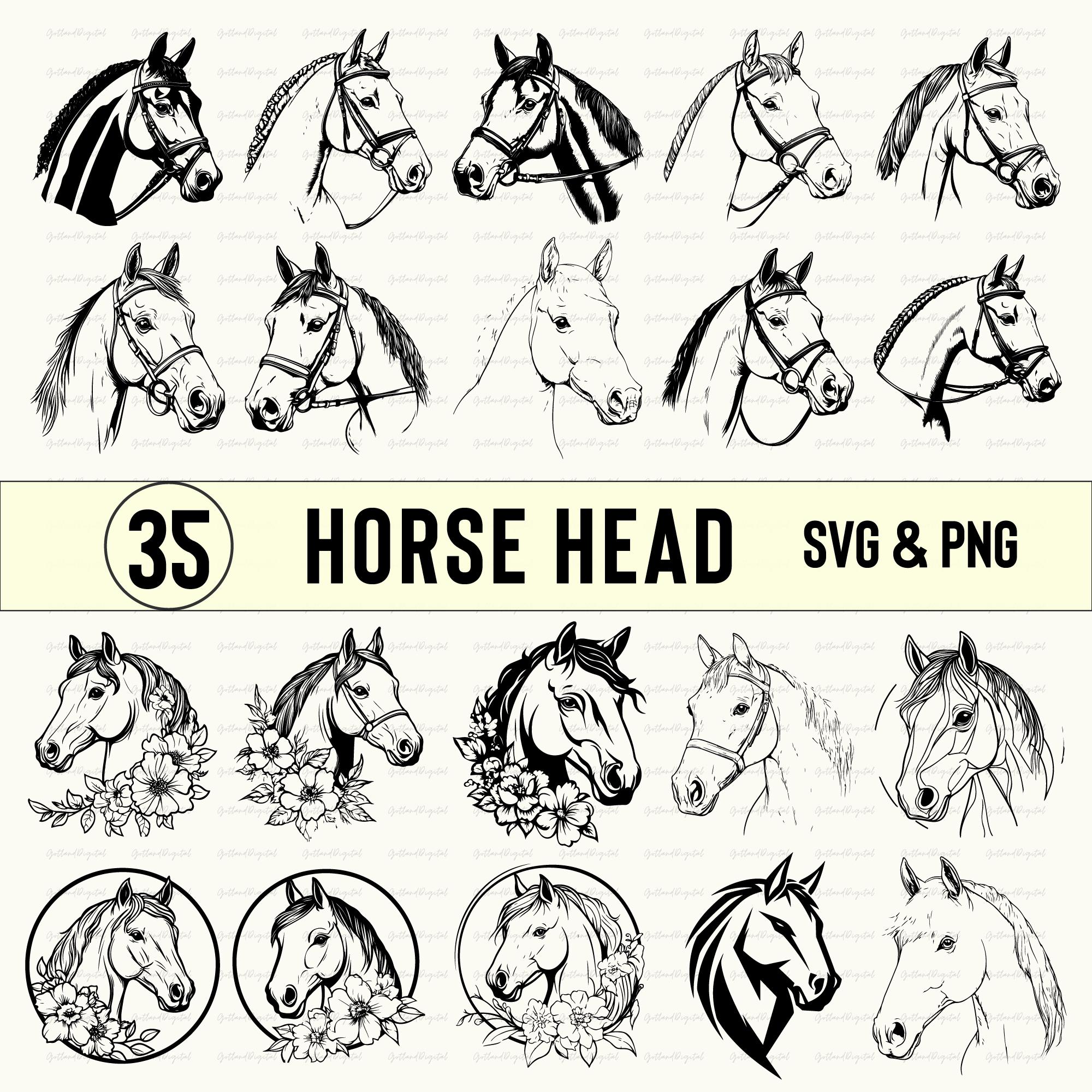 Adesivo Decalcomania Quarto Di Cavallo / Quarter Horse - Vinile Per Auto O Rimorchio