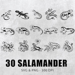 Salamander Clipart: Silhouette Vector Decal (SVG, PNG)