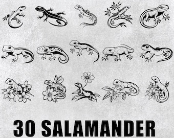 Salamander Clipart: Silhuettvektordekal (SVG, PNG)