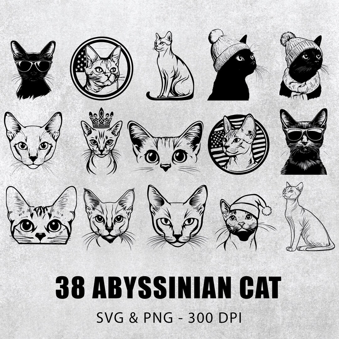 Abyssinian Cat Svg Bundle, Abyssinian Cat Vector Set, Abyssinian Cat ...
