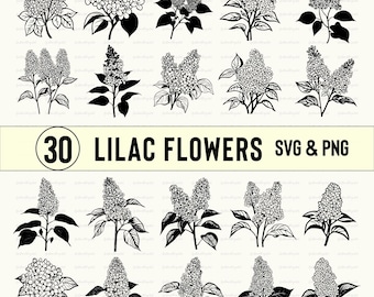 Lilac Flower SVG PNG Clipart: Silhouette Vector Cut Files