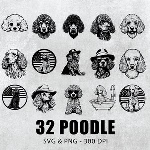 Poodle SVG Bundle: Silhouette Clipart Vector Designs (PNG, Cricut)
