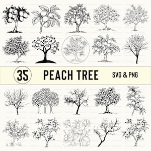 Peach Tree Svg Png, Peach Tree Clipart, Peach Tree Silhouette, Peach Tree Vector, Cut File, Cricut, Decal, Peach Tree Outline, Tree Outline