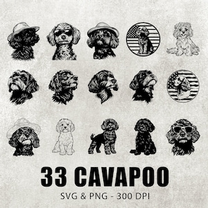 Cavapoo Silhouette Bundle: Vektor Clipart, Dekalkonst (SVG och PNG)