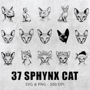 Puede incluir: Un conjunto de 37 ilustraciones en blanco y negro de gatos Sphynx en varias poses, incluyendo algunos con sombreros, flores y coronas. El texto "37 SPHYNX CAT SVG & PNG - 300 DPI" está en la parte inferior de la imagen.