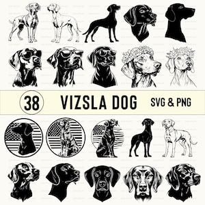 Vizsla Dog Svg Bundle, Vizsla Dog Silhouette, Vizsla Dog Clipart, Vizsla Dog Decal, Vizsla Dog Gifts File Decal, Vizsla Icon Logo Cut Files