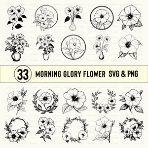 Morning Glory Flower SVG PNG Clipart: Cricut Cut File