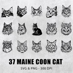 以下が含まれることがあります： さまざまなポーズをとったメインクーンの猫の白黒イラスト37点セット。花冠をかぶっているものも含まれています。画像の下部には「37 MAINE COON CAT SVG & PNG - 300 DPI」というテキストがあります。