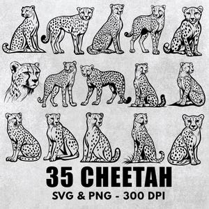 Cheetah Svg Png Bundle, Cheetah Clipart, Cheetah Silhouette, Vector Art, Cheetah  Outline, Cheetah Design Cut File, Cheetah Circuit Files