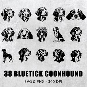 May include: A set of 18 black and white illustrations of Bluetick Coonhounds in various poses. The illustrations are perfect for crafting projects, digital designs, and more.