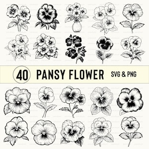 Stiefmütterchen Blume Svg Png, Stiefmütterchen Blume Clipart, Stiefmütterchen Blume Silhouette, Stiefmütterchen Blume Vektor, Blume Schnittdatei, Cricut, Aufkleber, Umriss, Designs