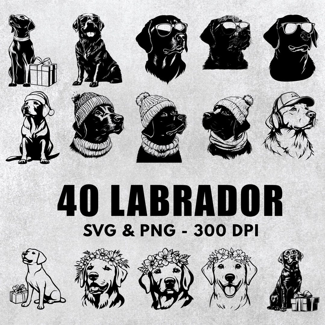 Labrador Retriever SVG Bundle: Dog Silhouette Clipart (PNG, Vector) - Etsy