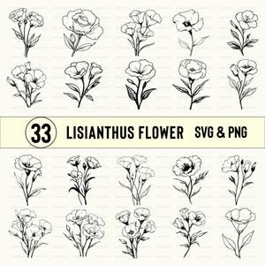 Lisianthus Flower Svg Png, Lisianthus Flower Silhouette, Lisianthus Flower Clipart, Vector, Cut files, Cricut, Florals Outline, Decal, files