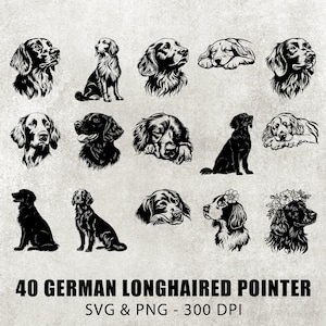 Puede incluir: Un conjunto de 40 ilustraciones vectoriales en blanco y negro de perros Pointer alemán de pelo largo en varias poses. Las ilustraciones están en formato SVG y PNG y tienen una resolución de 300 DPI.