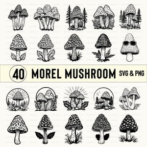 May include: A set of 40 black and white illustrations of morel mushrooms. The illustrations are in various styles, including realistic, cartoonish, and stylized. Some of the illustrations feature mushrooms growing in the forest, while others show mushrooms on their own. The illustrations are perfect for use in a variety of projects, such as greeting cards, invitations, and website designs.