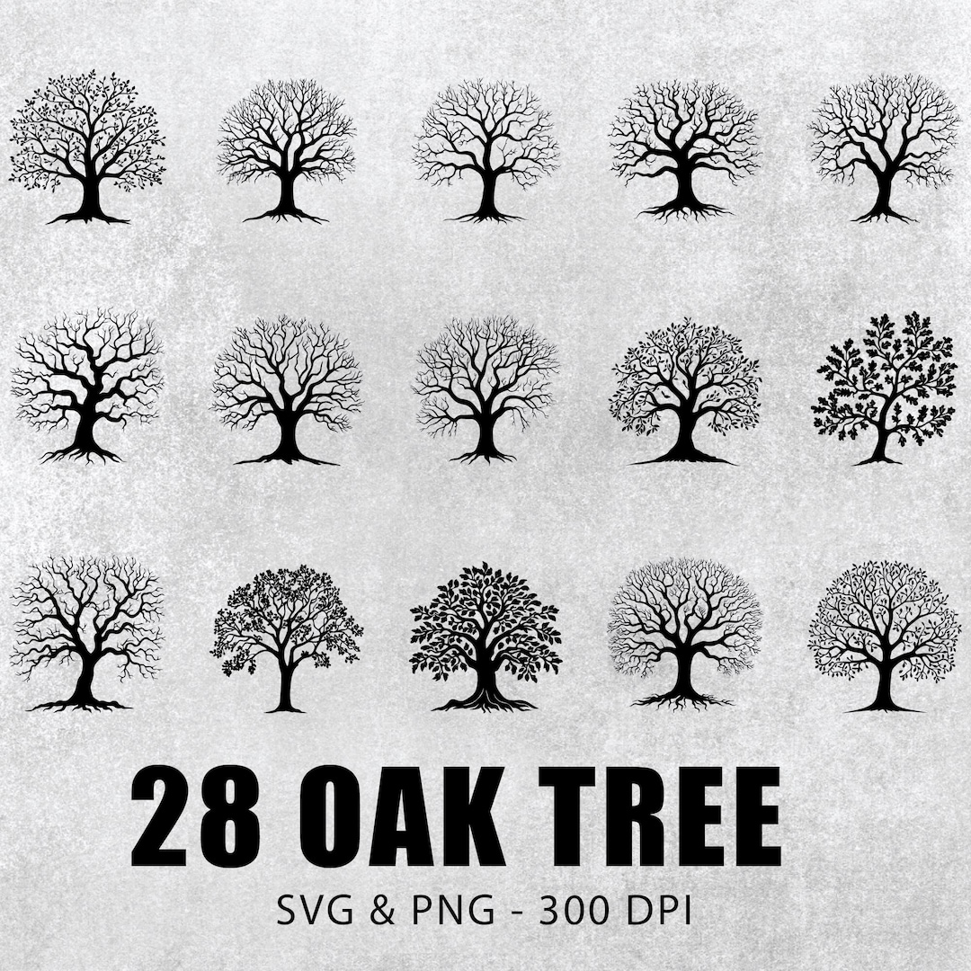 Oak Tree Silhouette SVG Bundle: Clipart, Decal, Logo (PNG, Cricut) - Etsy