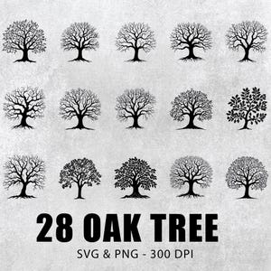Oak Tree Svg Bundle, Oak Tree Silhouette Set, Oak Tree Clipart, Oak Tree Decal, Oak Tree Png, Oak Tree Logo, Oak Tree Icon Svg Files Cricut