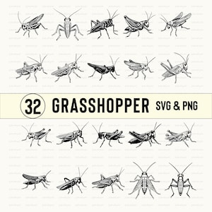 Grasshopper Svg Bundle, Grasshopper Silhouette, Grasshopper Clipart, Grasshopper Vector, Grasshopper Decal, Grasshopper Logo Icon Cricut
