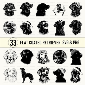 Flat Coated Retriever SVG Bundle: Dog Silhouette Clipart (PNG, Vector)