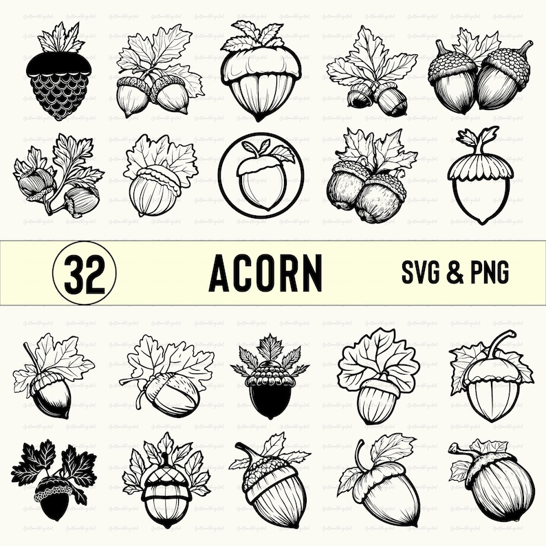 Acorn SVG PNG Bundle: Clipart Silhouette Vector (digital Download) - Etsy