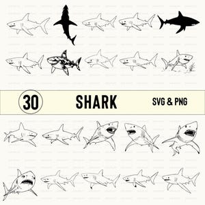 Shark Svg Bundle, Shark Silhouette, Shark Clipart, Shark Decal, Shark Gifts File Decal, Shark Icon, Shark  Logo, Shark Cut Files For Cricut