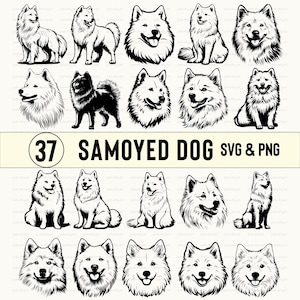 Samoyed Dog Silhouette Bundle Svg, Samoyed Dog Svg Vector Set, Samoyed Dog Clipart Png, Samoyed Dog Decal, Samoyed Dog Lover Cricut Cut File