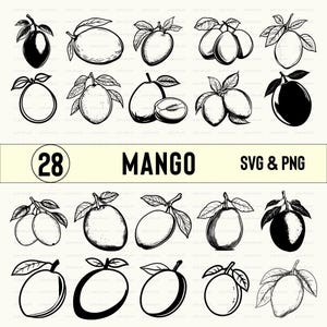 Mango Svg Png, Mango Silhouette, Mango Clipart, Mango Vector, Mango Cut file, Mango Cricut, Mango Outline, Mango Decal, Mango file Decal Set