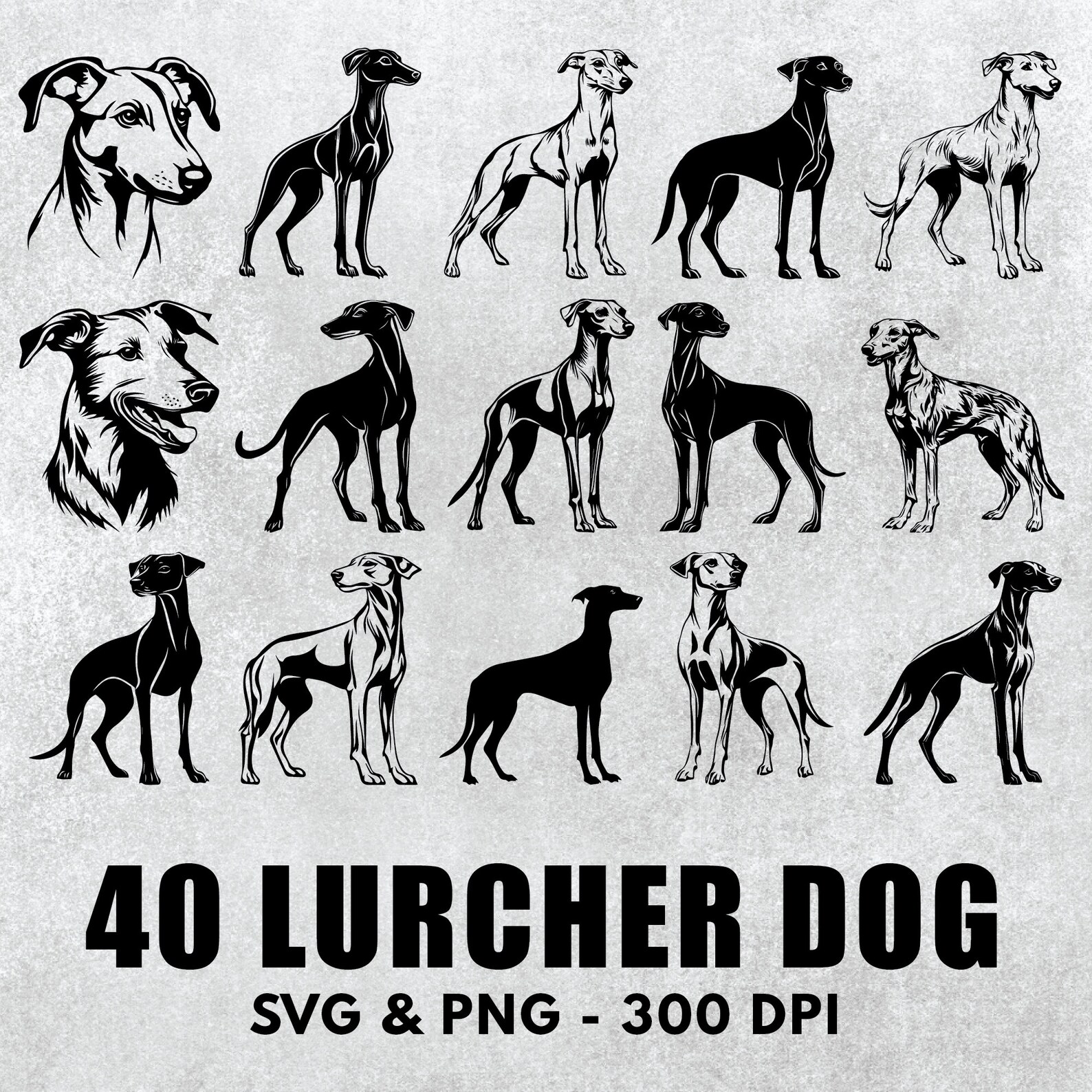 Lurcher Silhouette Bundle: Vector Clipart, Decal Icon (SVG & PNG) - Etsy
