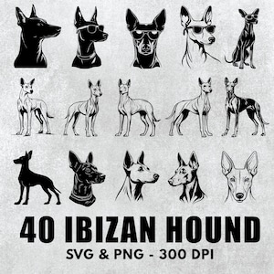 Ibizan Hound Svg Bundle, Ibizan Hound Silhouette, Ibizan Hound Clipart Vector, Ibizan Hound Decal, Ibizan Hound Gifts File Decal Icon Logo
