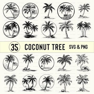Coconut Tree Svg Png, Coconut Tree clipart, Coconut Tree silhouette, Coconut Tree vector, cut file, Cricut, Designs, Coconut Tree Icon, file