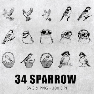 Sparrow SVG PNG Bundle: Bird Clipart, Vector Set (Digital Download)