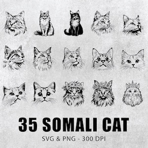 Somali Cat Vector Set: Clipart Silhouette SVG PNG Bundle