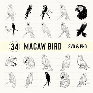 Puede incluir: Un conjunto de 34 ilustraciones en blanco y negro de guacamayos en varias poses. Las ilustraciones están en un estilo simple, de arte lineal. El texto "34 MACAW BIRD SVG & PNG" está en la parte superior de la imagen.
